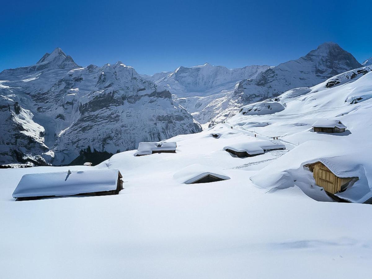 Abendrot Apartments-9 By Interhome Appartement Grindelwald